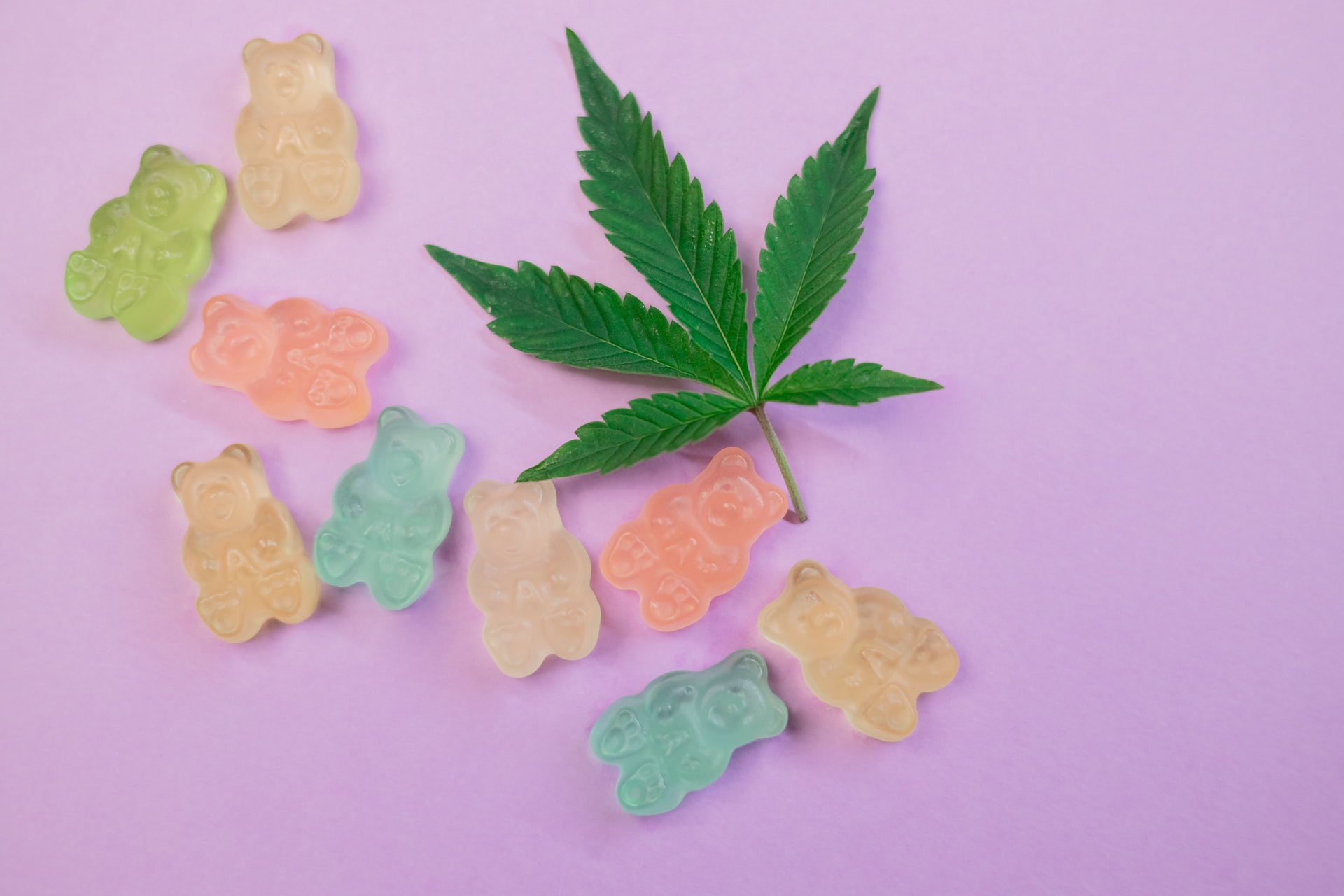 What is CBD Gummy Bears?