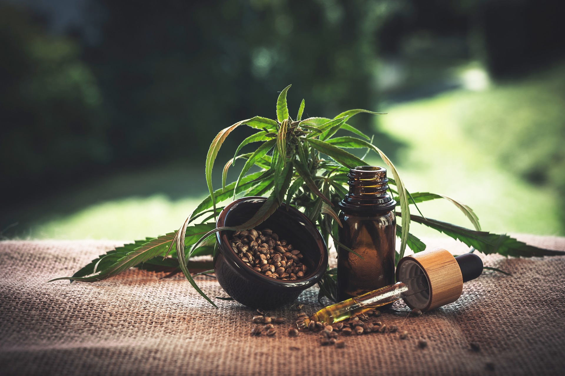 Why should you choose CBD oil?